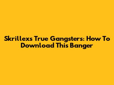 Skrillex's 'True Gangsters': How To Download This Banger